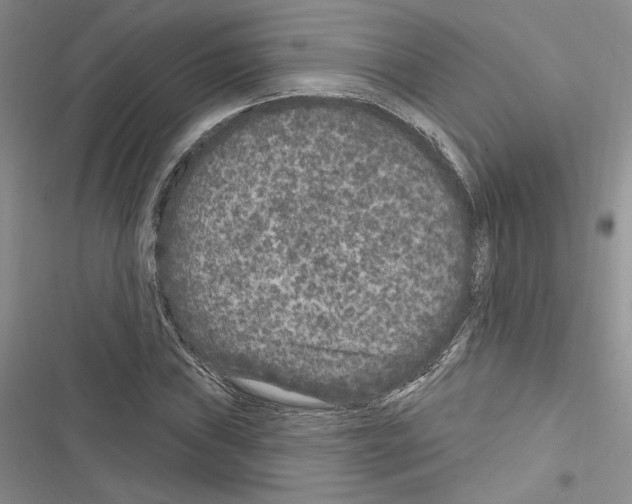 X0000116611019201001221314