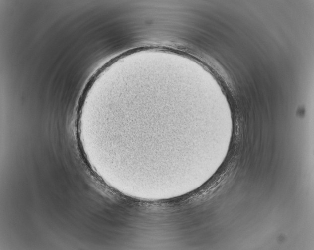 X0000116611020201001221314