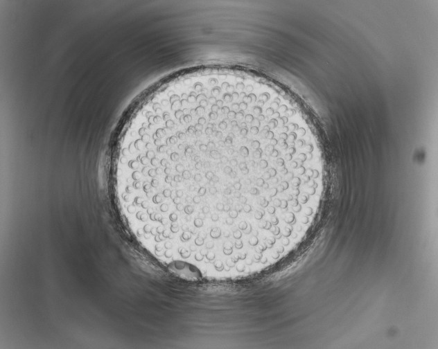 X0000116611021201001221314