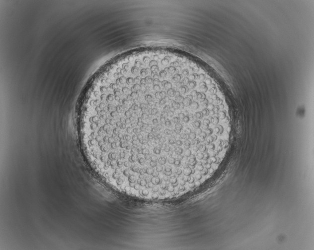 X0000116611022201001221314