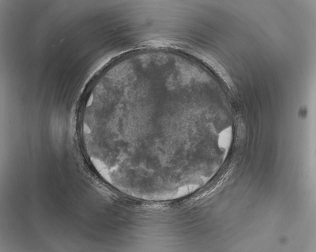 X0000116611023201001221314