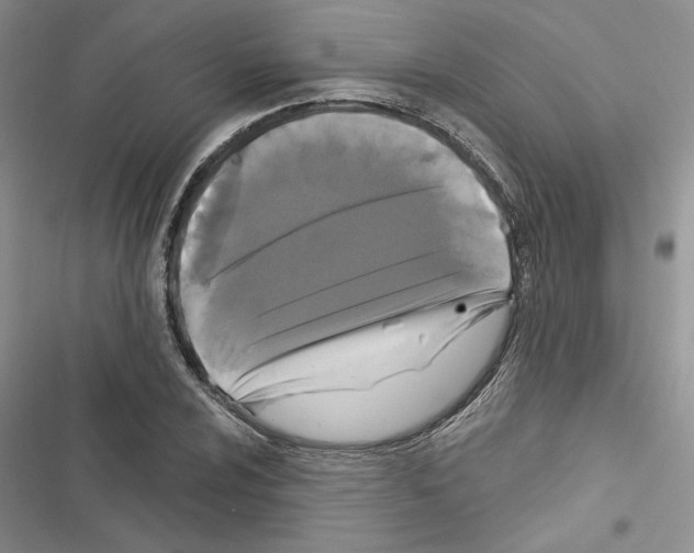 X0000116611024201001221314