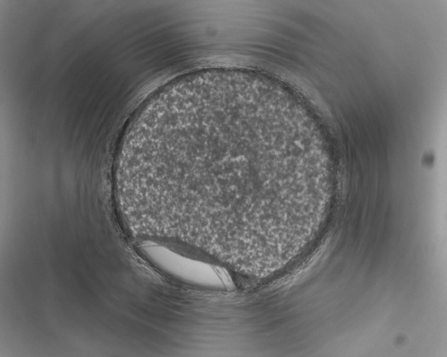 X0000116611025201001221314