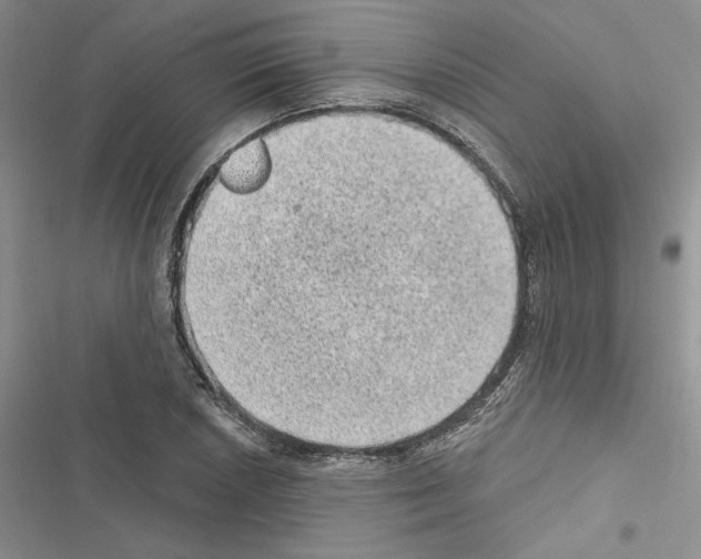 X0000116611026201001221314