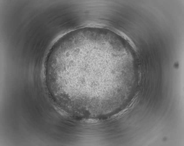 X0000116611027201001221314