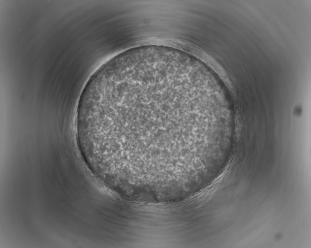 X0000116611028201001221314