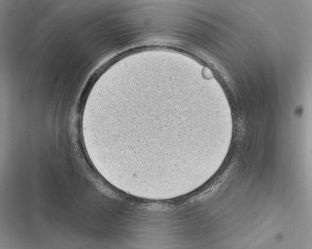 X0000116611029201001221314