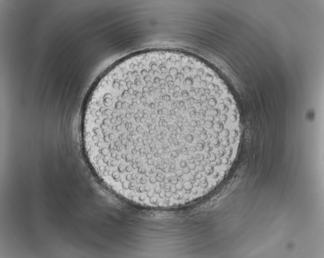 X0000116611030201001221314