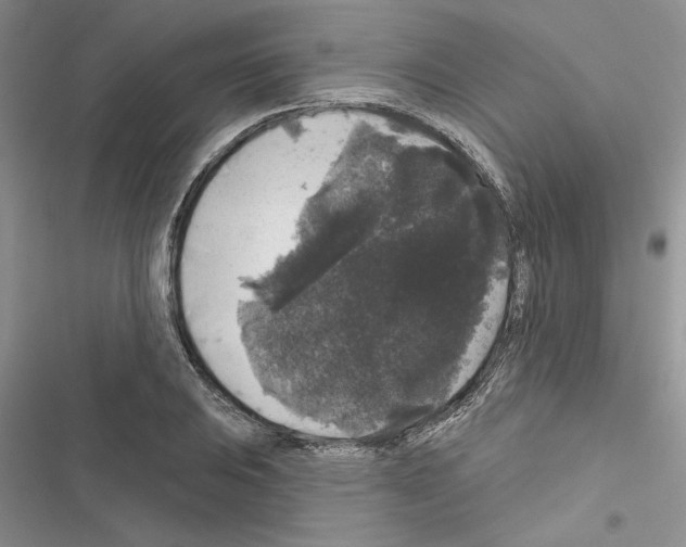 X0000116611031201001221314