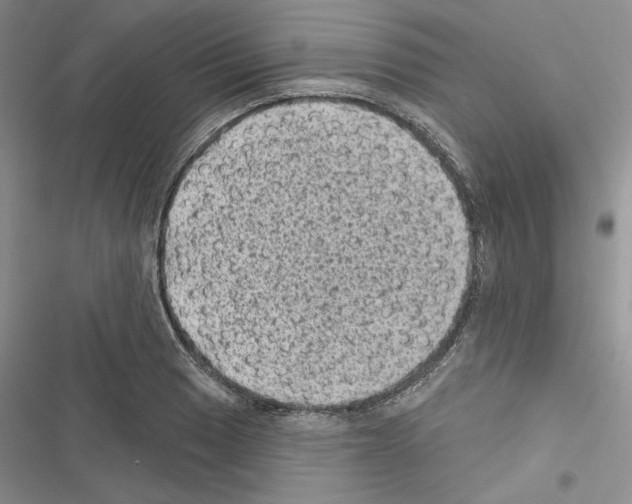 X0000116611033201001221314