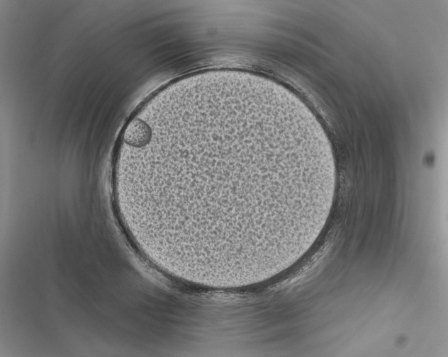 X0000116611034201001221314