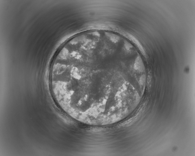 X0000116611035201001221314