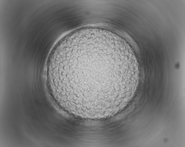 X0000116611036201001221314