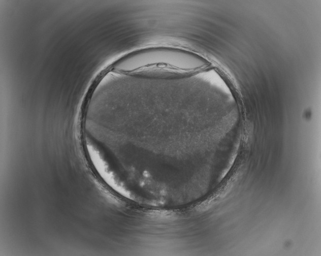 X0000116611037201001221314