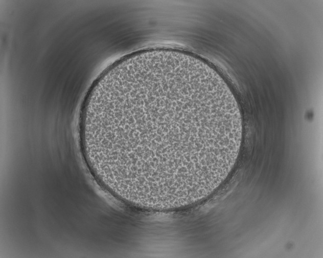 X0000116611038201001221314