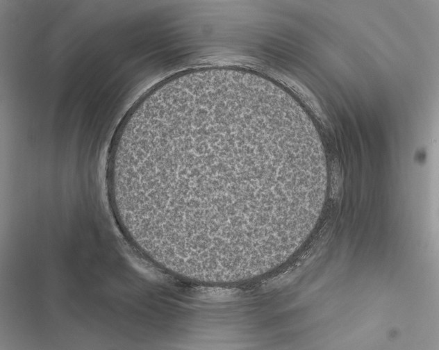 X0000116611039201001221315