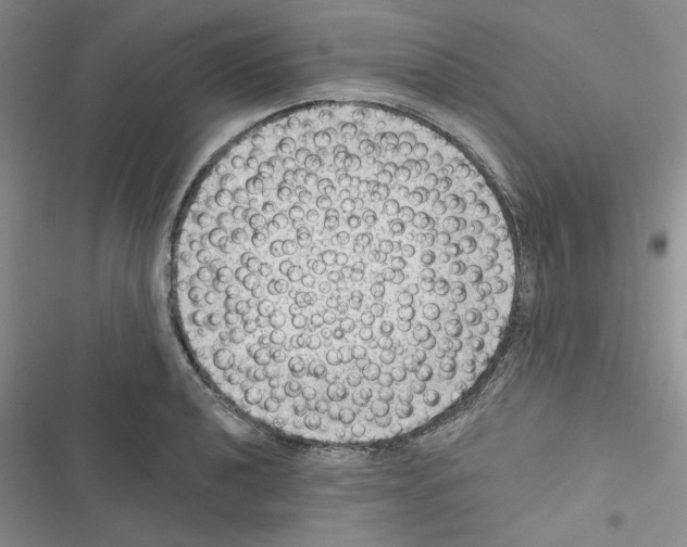 X0000116611040201001221315