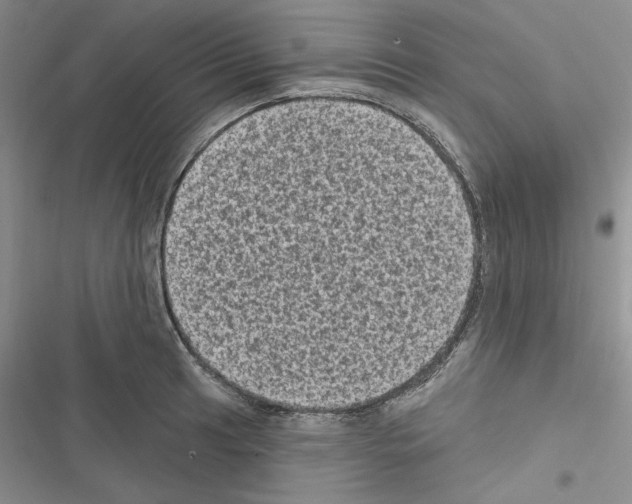 X0000116611041201001221315