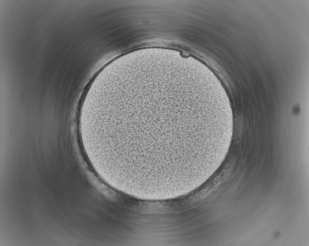 X0000116611042201001221315