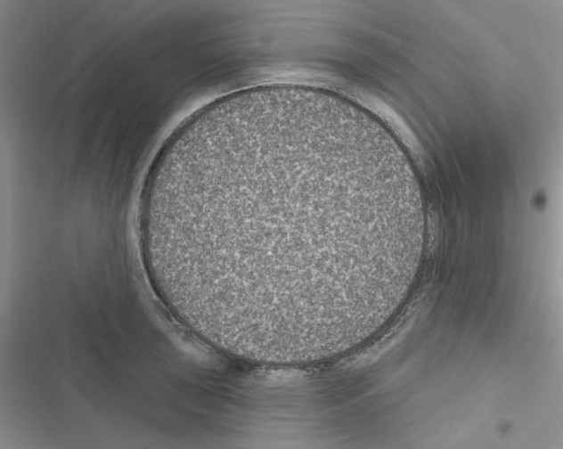 X0000116611043201001221315