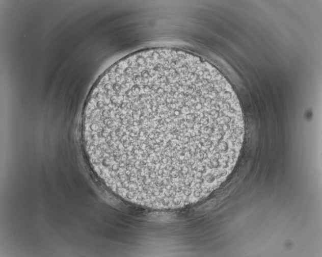 X0000116611044201001221315