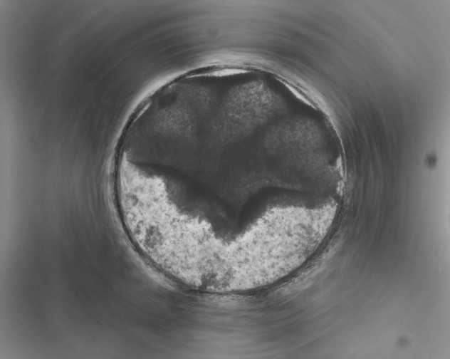 X0000116611045201001221315