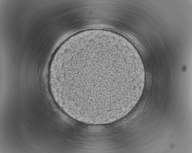 X0000116611046201001221315