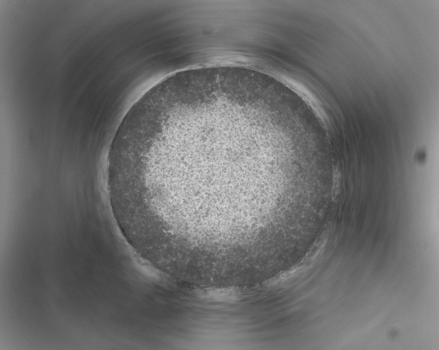 X0000116611047201001221315