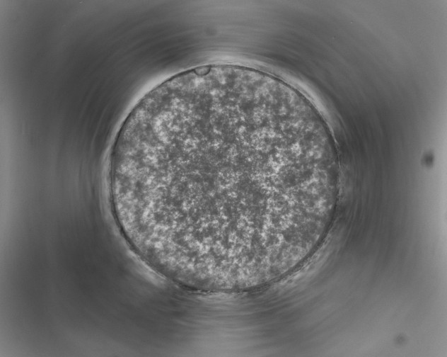 X0000116611048201001221315