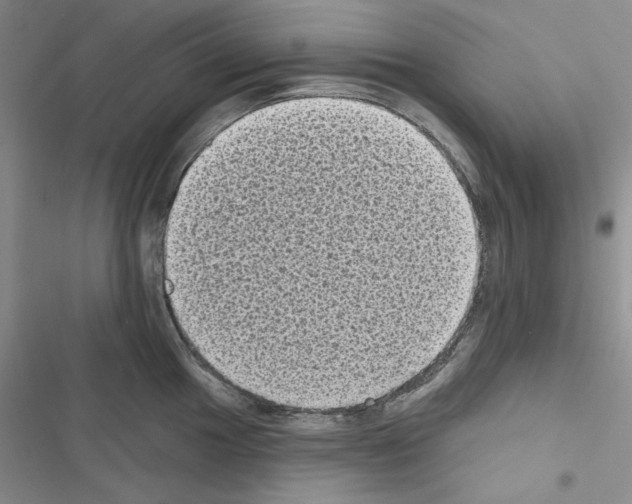 X0000116611049201001221315