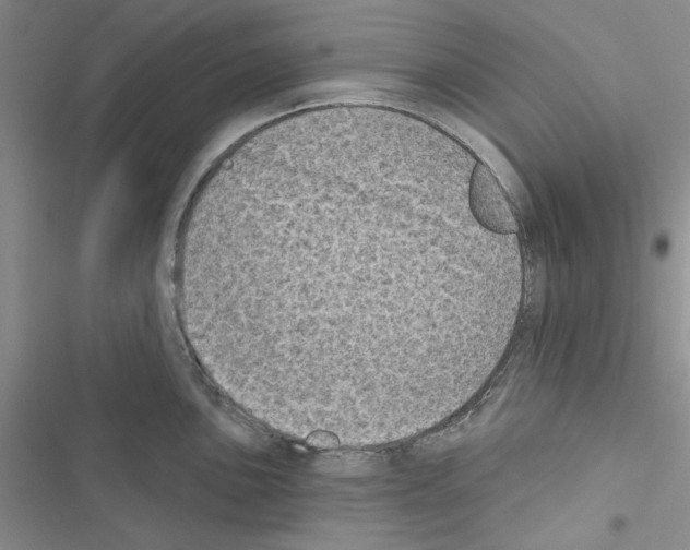 X0000116611051201001221315