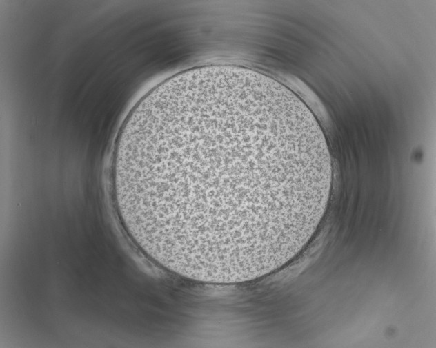 X0000116611052201001221315