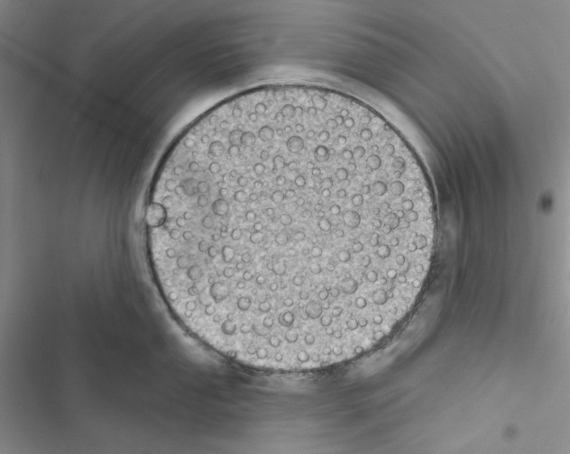 X0000116611053201001221315