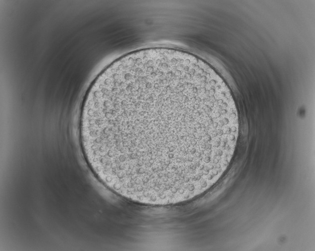 X0000116611054201001221315