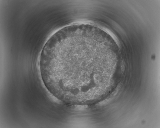 X0000116611055201001221315