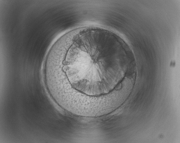 X0000116611056201001221315