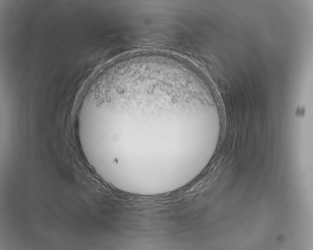 X0000116611057201001221314