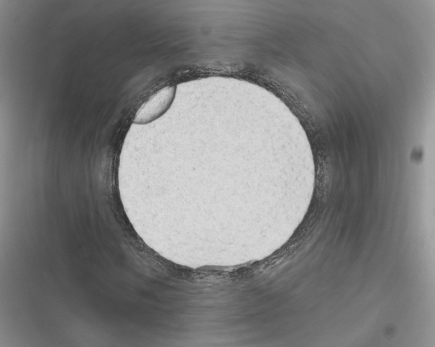 X0000116611058201001221314