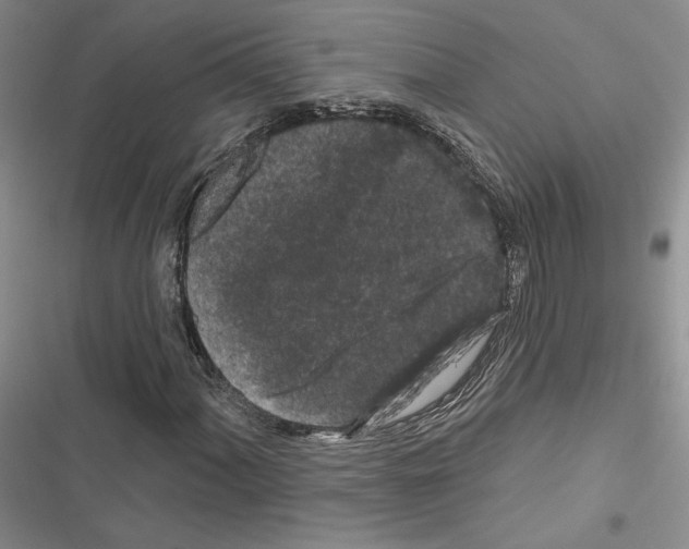 X0000116611060201001221314