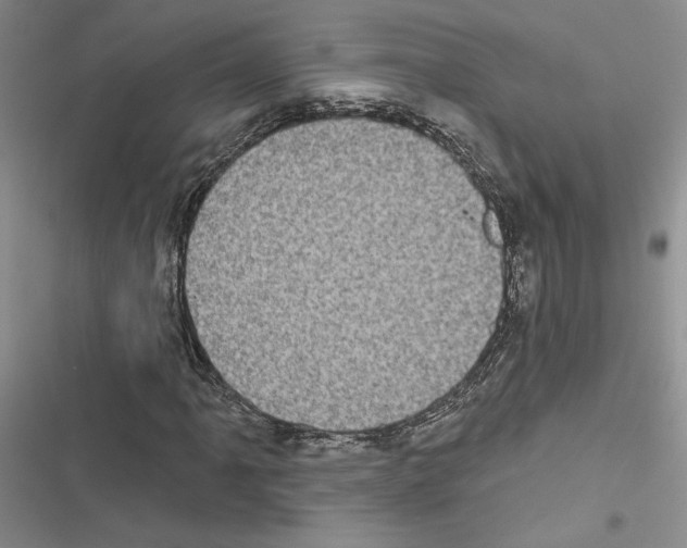 X0000116611061201001221314