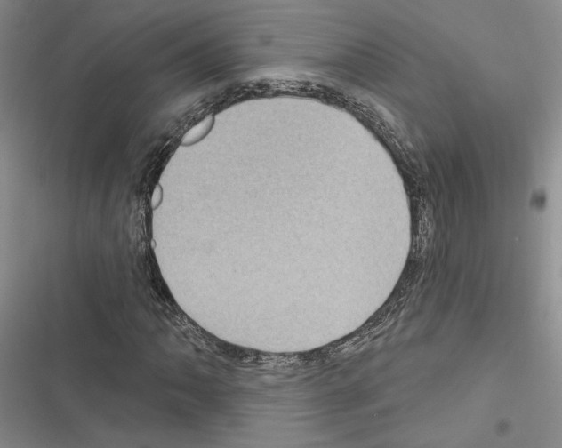 X0000116611062201001221314