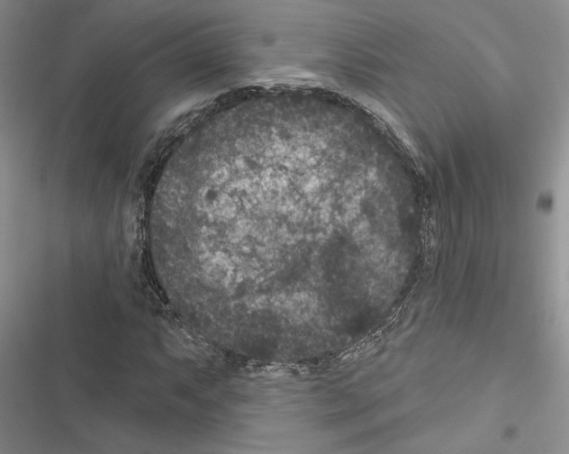 X0000116611063201001221314