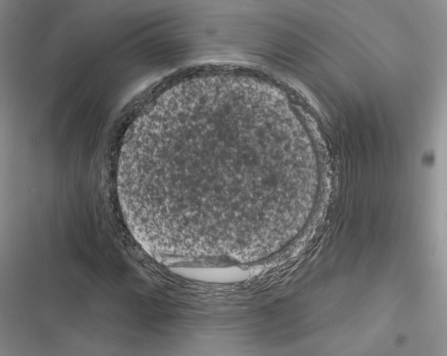 X0000116611064201001221314