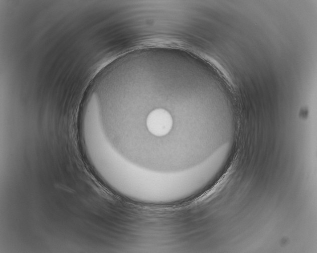 X0000116611065201001221314