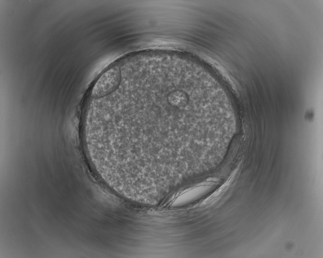 X0000116611066201001221314