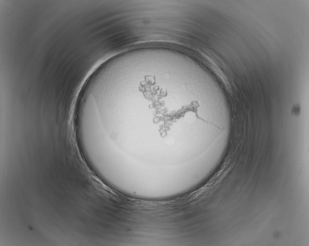 X0000116611068201001221314