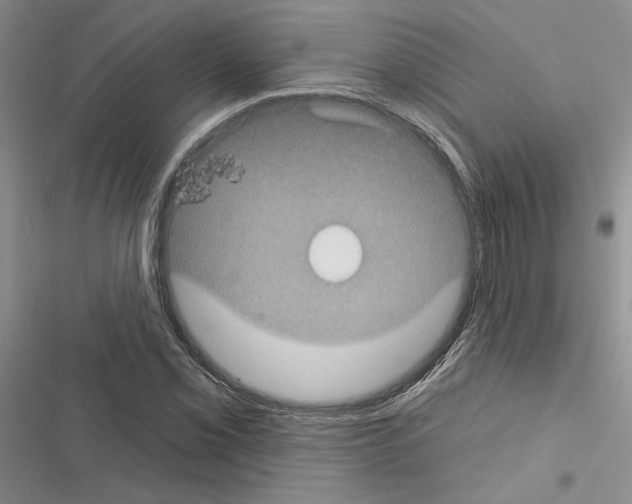 X0000116611069201001221314