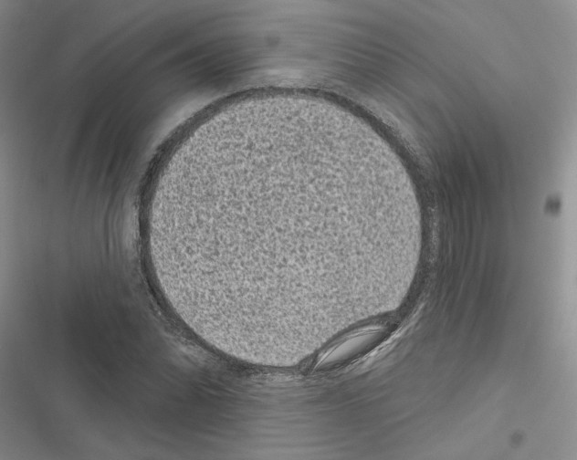 X0000116611070201001221314