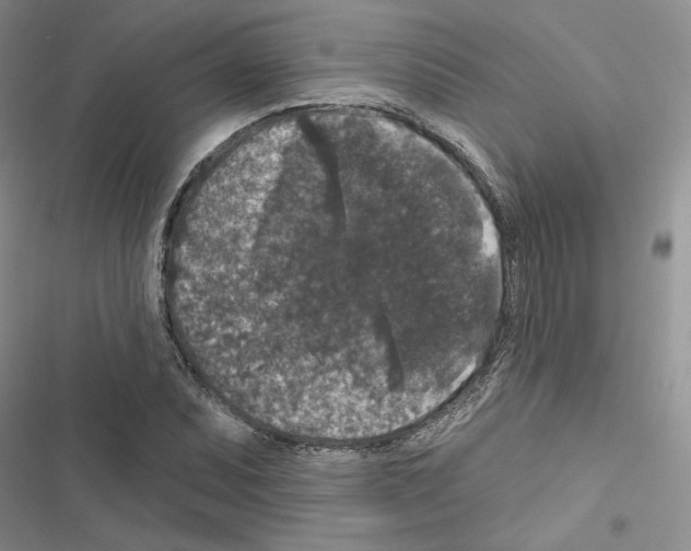 X0000116611071201001221314