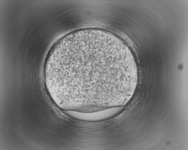 X0000116611072201001221314